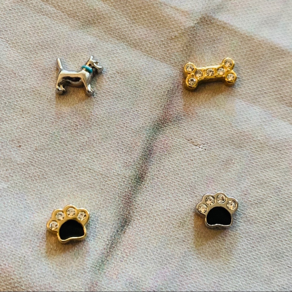 Retired/Hard To Find Origami Owl Charms - Picture 1 of 6
